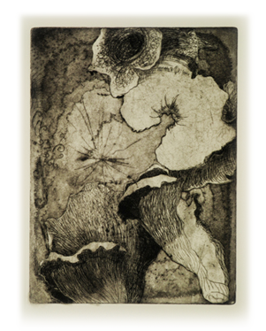 Intaglio Etchings